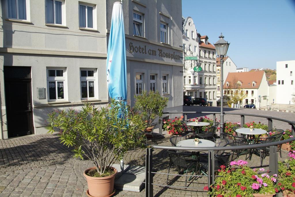 Am Rossplan Hotel Altenburg Buitenkant foto
